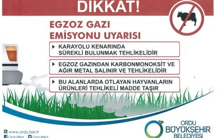 7078