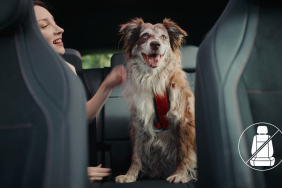 Mercedes-Benz Türkiye ve HAÇİKO’dan Köpeklere Özel Güvenli Yolculuk Filmi “İlk Yolculuk”