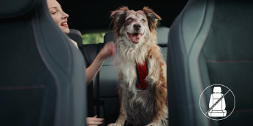 Mercedes-Benz Türkiye ve HAÇİKO’dan Köpeklere Özel Güvenli Yolculuk Filmi “İlk Yolculuk”
